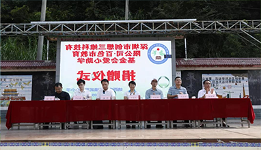 杏彩官网app
对口帮扶百色教育捐资助学，以科技助力引领未来